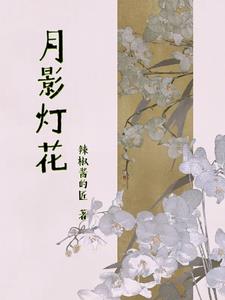 月影灯饰差评