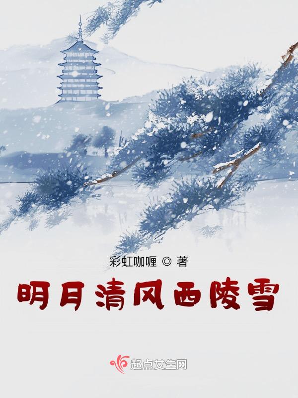 什么意思