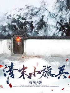 清朝囯旗